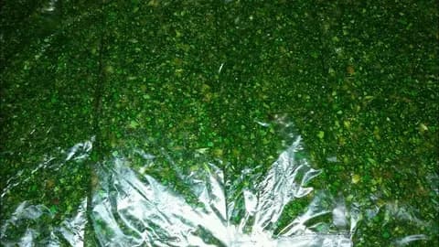 تصویر 2 از سبزی آشی آماده پاک شده مناسب پخت سریع